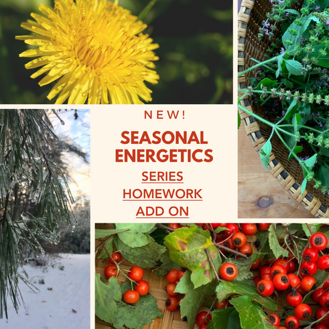 Seasonal Energetics Homework Add On
