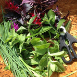 At-Your-Own-Pace Online Remedy Making Series