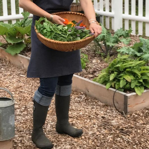 At-Your-Own-Pace Online BEYOND the Home Herbalist Series