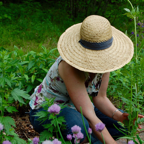 LIVE STREAM Home Herbalist Series ($TBA) STAY TUNED FOR 2026