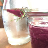 Beyond the Bottle - Yummy, Alcohol-Free Remedies