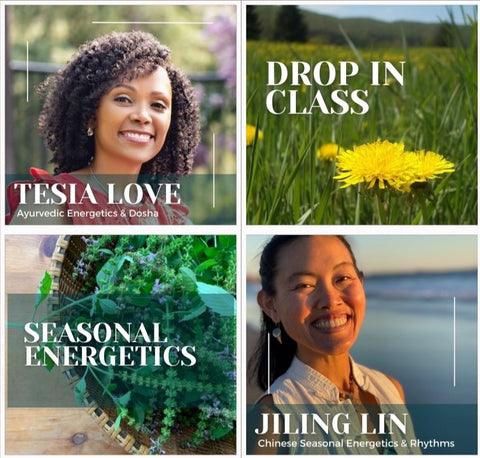 April 25: Tesia + Jiling Energetics Intro Drop In