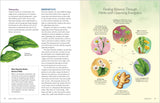 PREORDER! Herbal Gut Health Book - Ships January 2026!