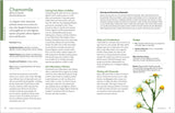 PREORDER! Herbal Gut Health Book - Ships January 2026!