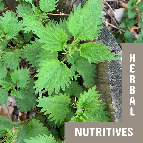 FREE Herbal Nutritives Webinar